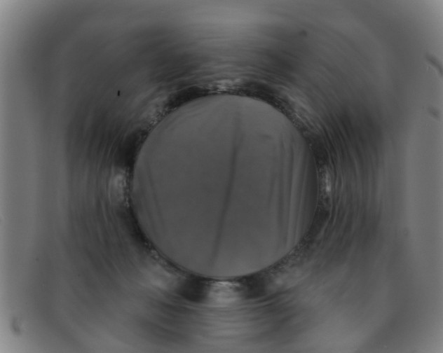 X0000091350222200708311523