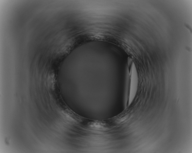 X0000091350223200708311523