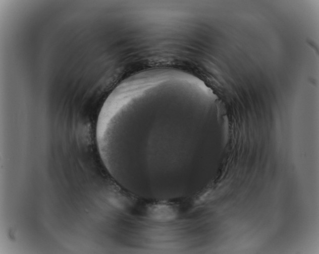 X0000091350224200708311523