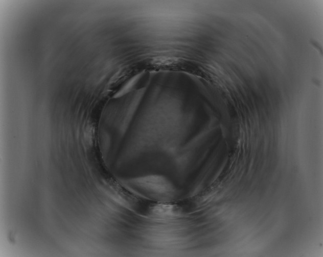 X0000091350227200708311523
