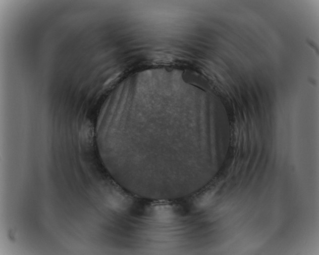 X0000091350228200708311523