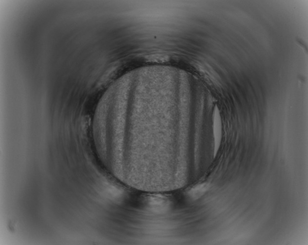 X0000091350229200708311522