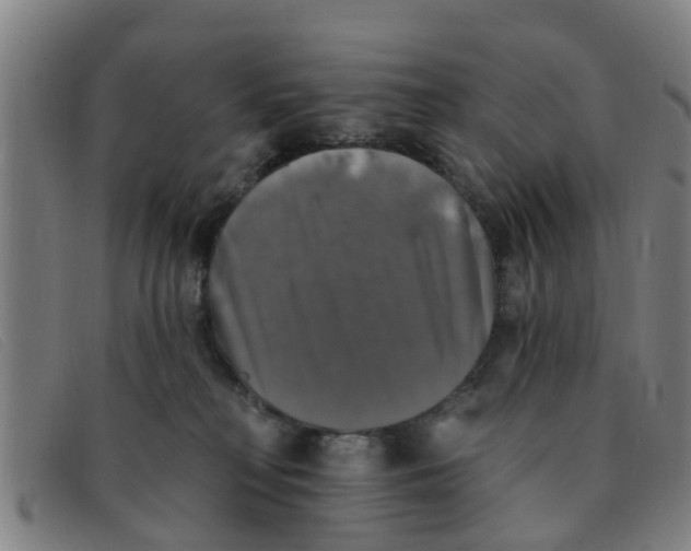 X0000091350230200708311522