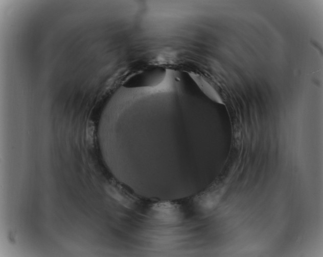 X0000091350231200708311522