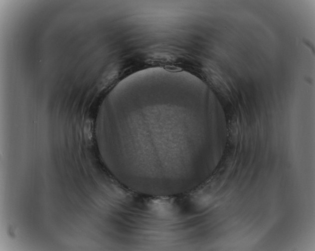 X0000091350232200708311522