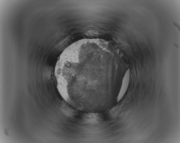 X0000091350233200708311522