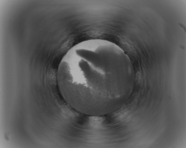X0000091350234200708311522