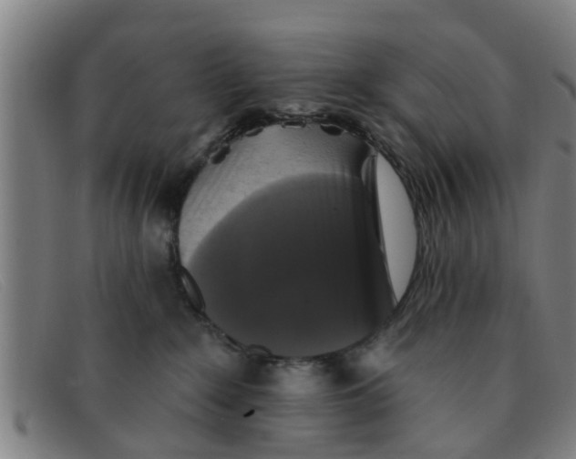 X0000091350235200708311522