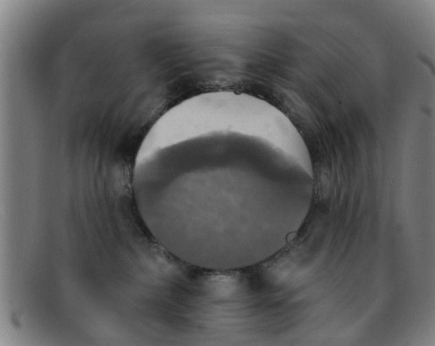 X0000091350236200708311522