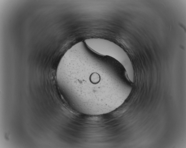 X0000091350237200708311522
