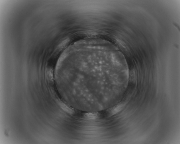 X0000091350238200708311522
