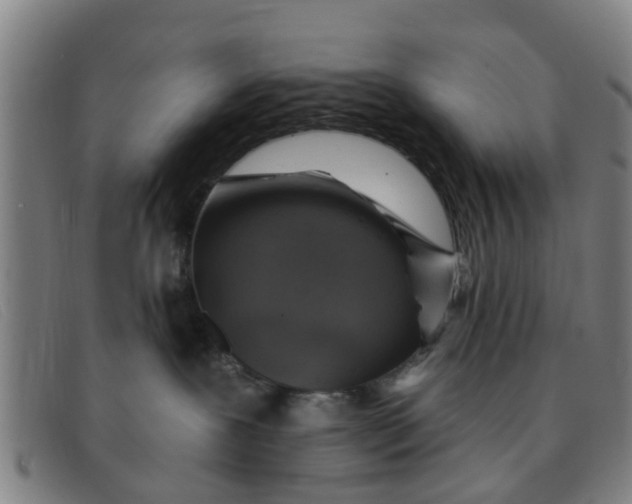 X0000091350239200708311522