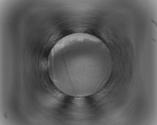 X0000091350240200708311522