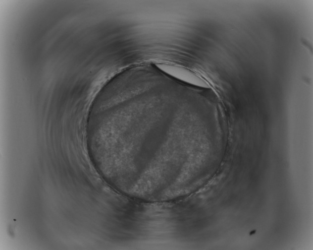 X0000091350241200708311522