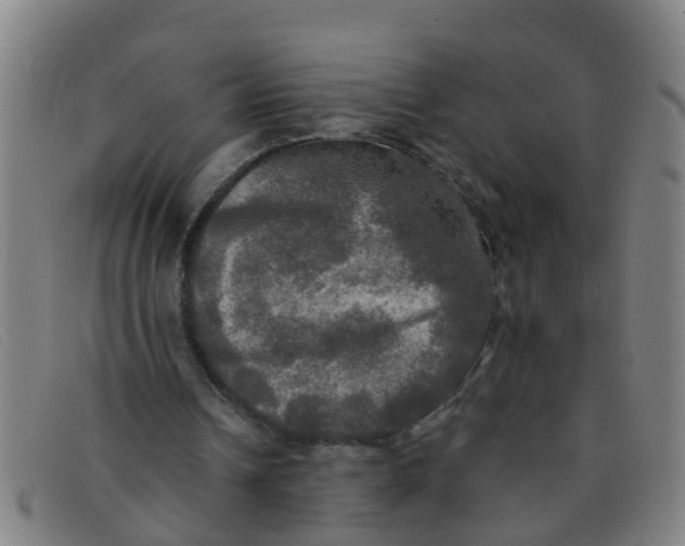 X0000091350242200708311522