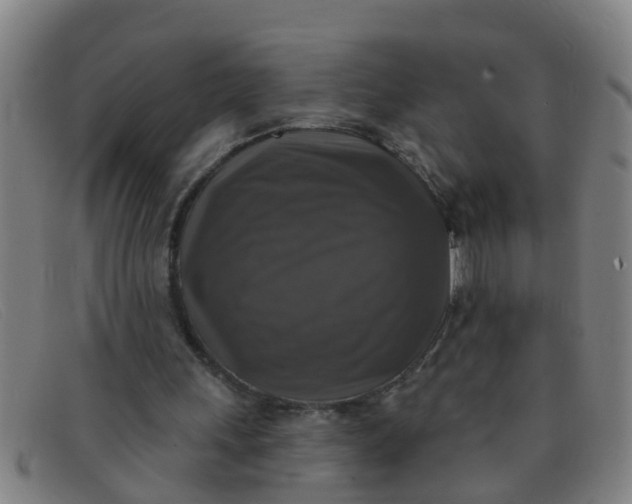 X0000091350243200708311522