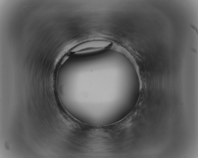 X0000091350244200708311522