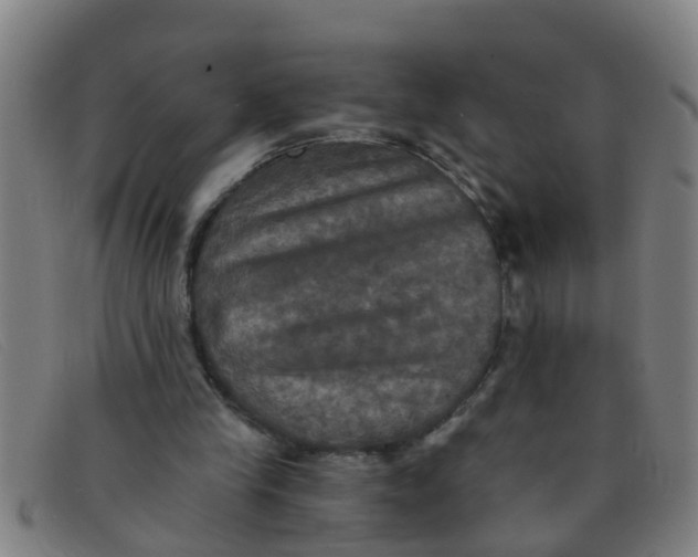 X0000091350245200708311522