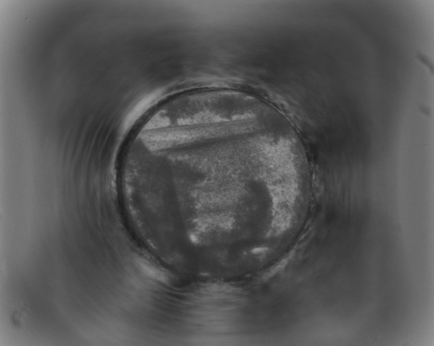 X0000091350246200708311522