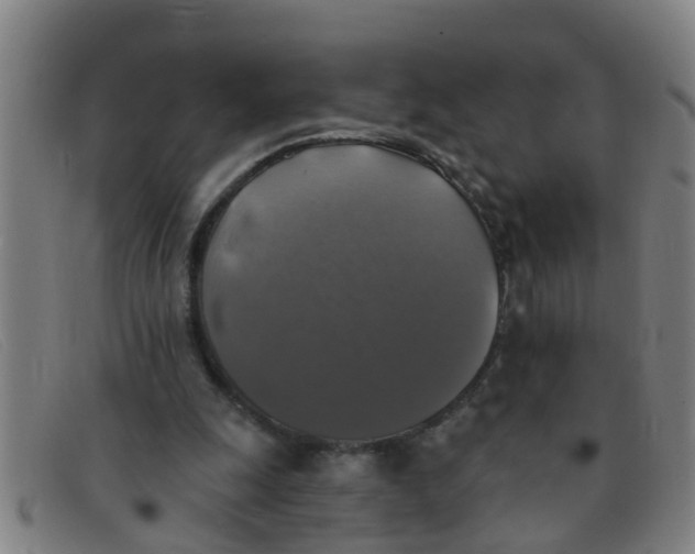 X0000091350247200708311522