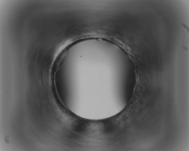 X0000091350248200708311522