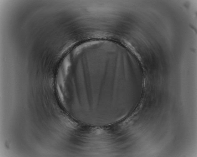 X0000091350249200708311522