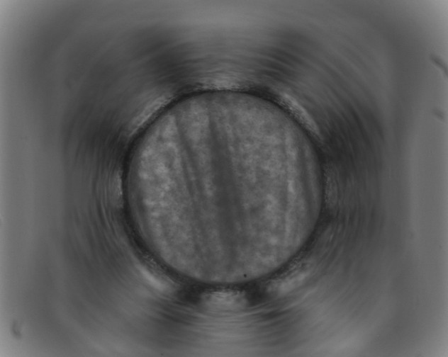 X0000091350251200708311522