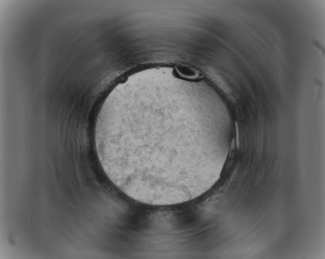 X0000091350252200708311522