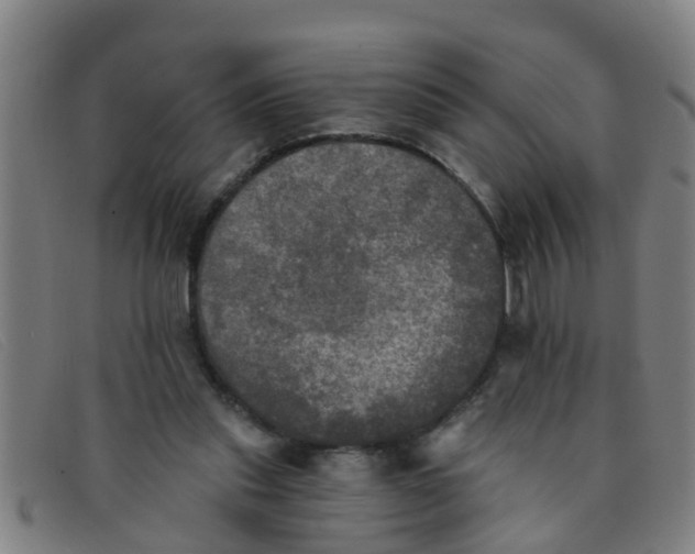 X0000091350253200708311522