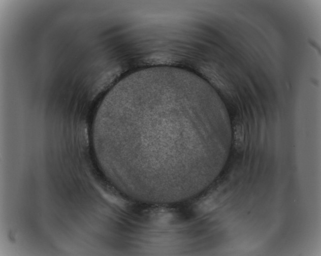 X0000091350254200708311522
