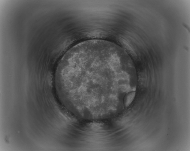 X0000091350255200708311522