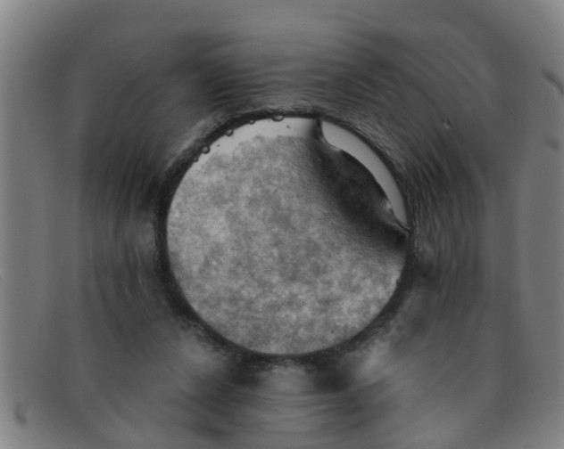 X0000091350256200708311522