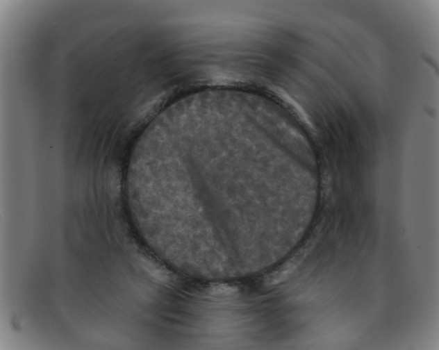 X0000091350257200708311522