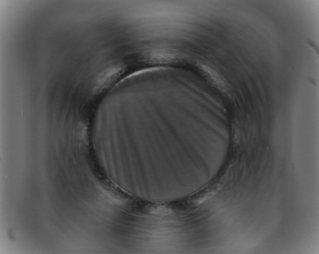 X0000091350258200708311522