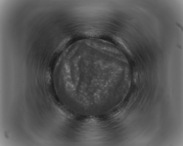X0000091350259200708311522