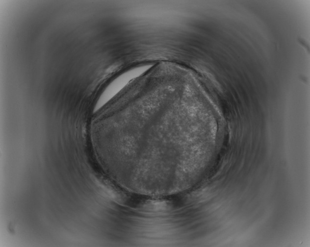X0000091350260200708311522