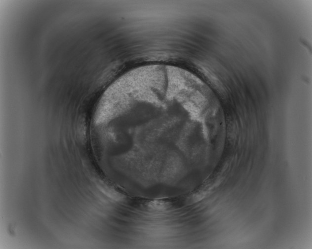 X0000091350261200708311522