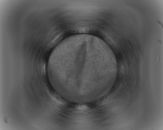 X0000091350262200708311522