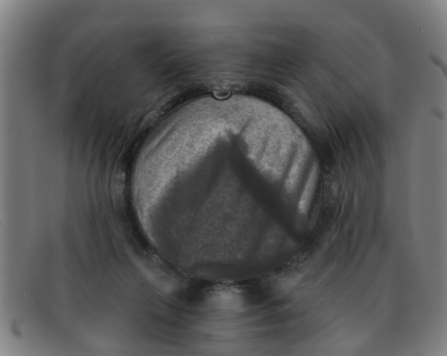 X0000091350263200708311522