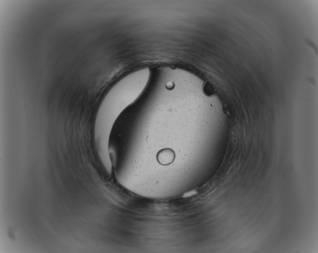 X0000091350264200708311522