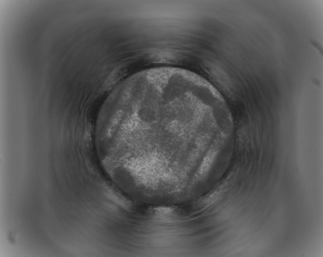 X0000091350265200708311522