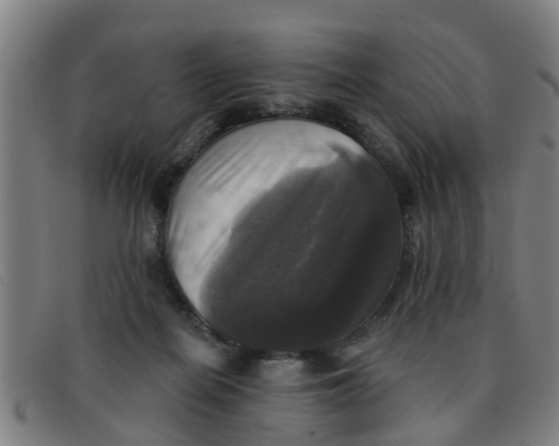 X0000091350266200708311522