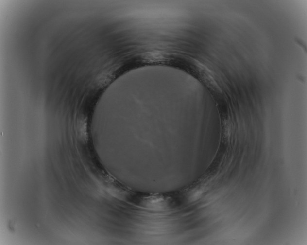 X0000091350267200708311522