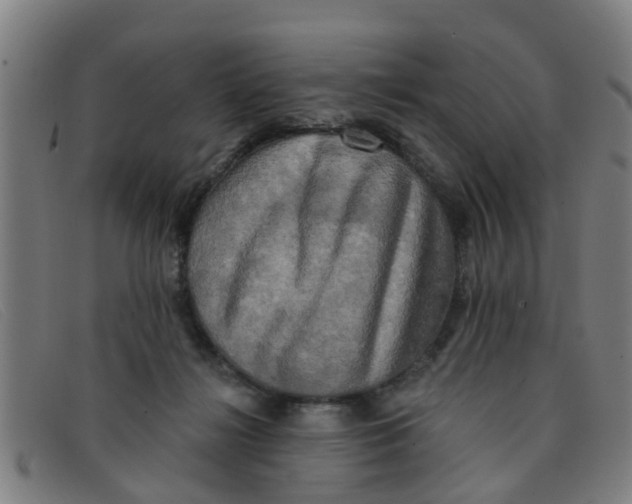 X0000091350268200708311522