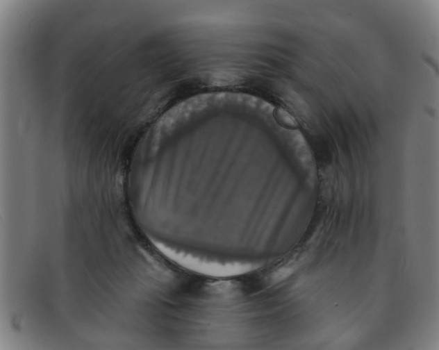 X0000091350269200708311522