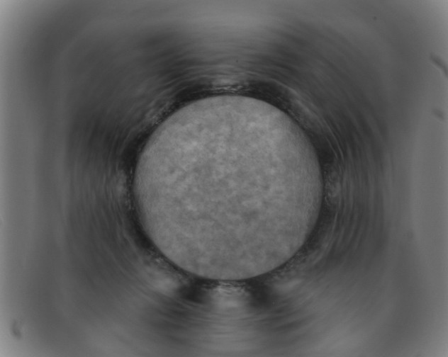 X0000091350270200708311522
