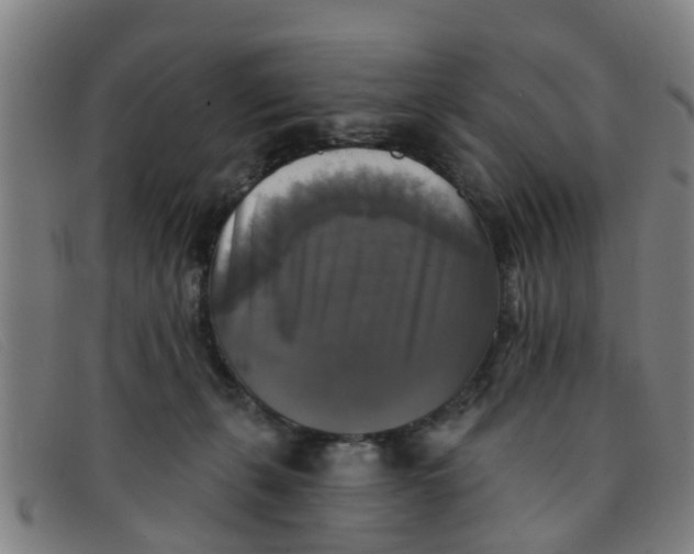 X0000091350271200708311522