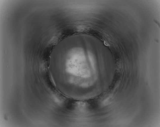 X0000091350272200708311522