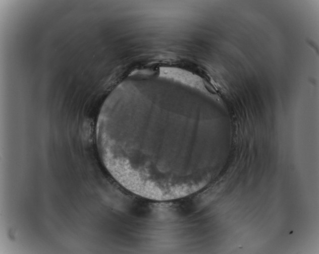 X0000091350273200708311522