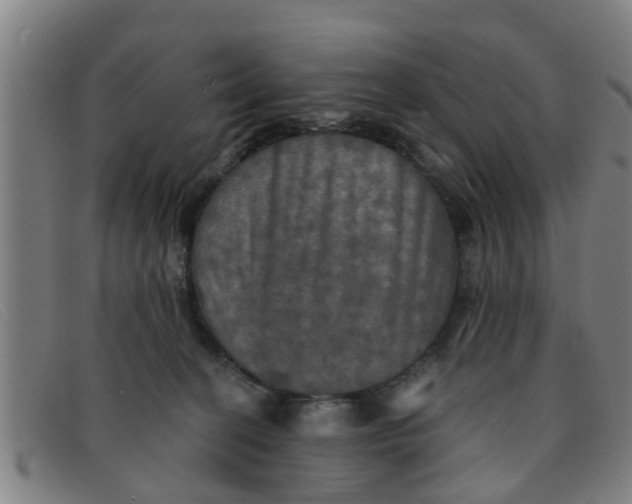 X0000091350274200708311522